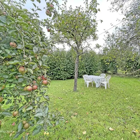 Lumineux Renove Avec Animaux Acceptes, Parking Et Wifi En Suisse Normande - Fr-1-497-223 בית נופש